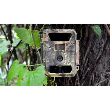 65ft night vision 12MP FHD video 3G wireless solar waterproof IP66 hunting wildkamera trail camera